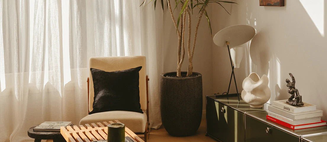 A sunlit living room with a beige chair, black pillow, wooden coffee table, tall potted plant, lamp, modern sculpture, stacked books, and light curtains filtering sunlight.