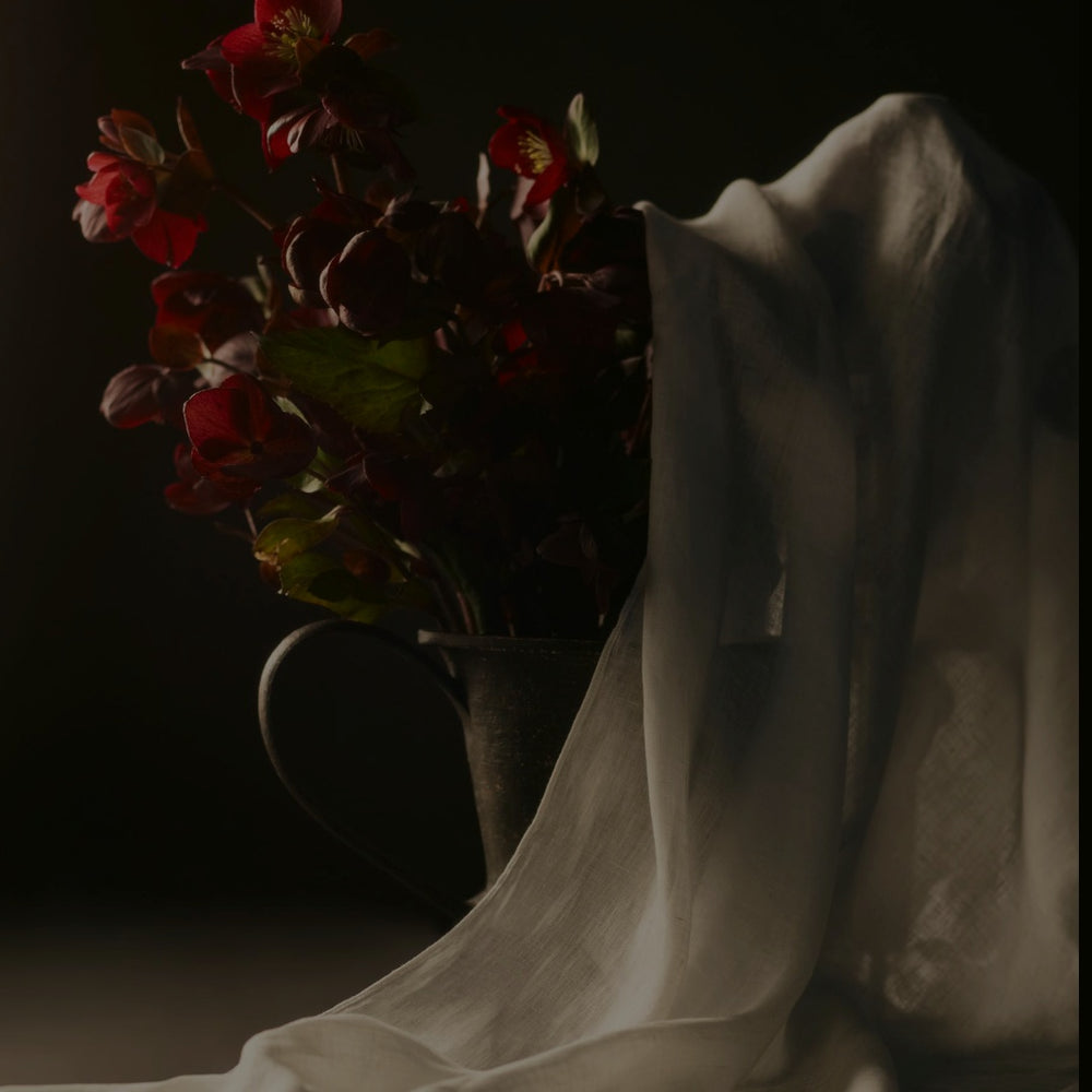 Dark, moody still life of deep red flowers with green leaves in a dark jug, partially covered by a sheer white fabric draped over the side and foreground.